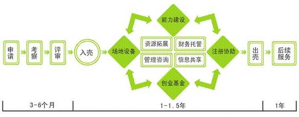 創業孵化器 定義、服務和選擇指南